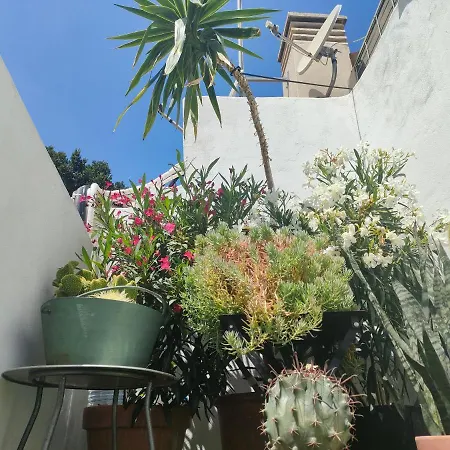 Historic Center Private Terrace * Malaga